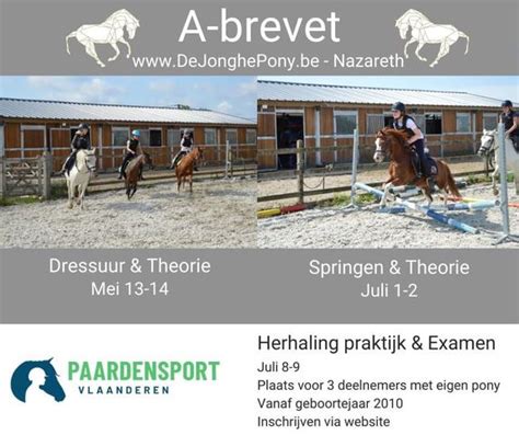 ponyclubs vlaanderen